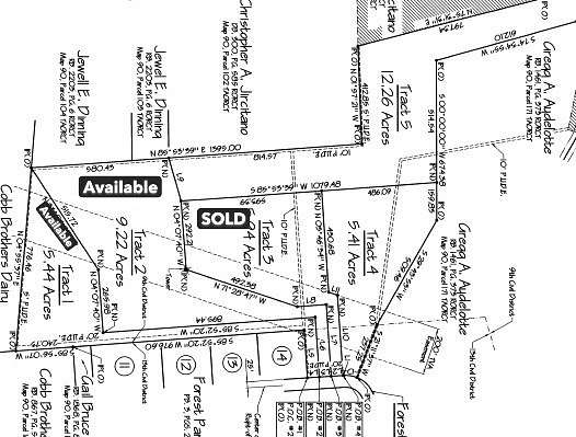 20 Acres of Land for Sale in Springfield, Tennessee