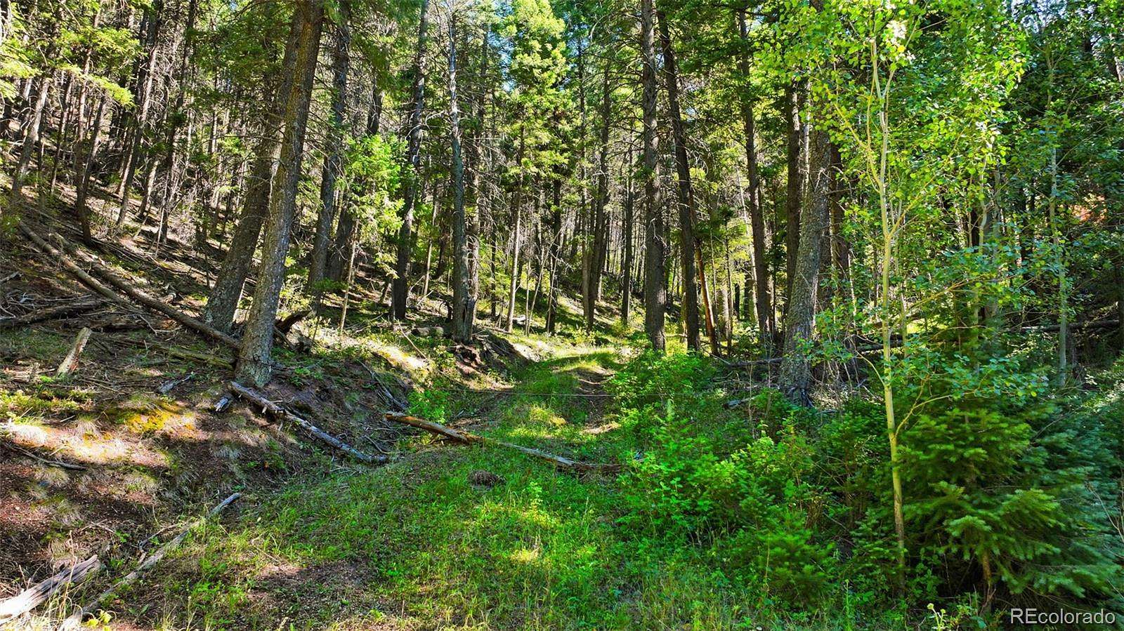 3 Acres of Residential Land for Sale in Larkspur, Colorado