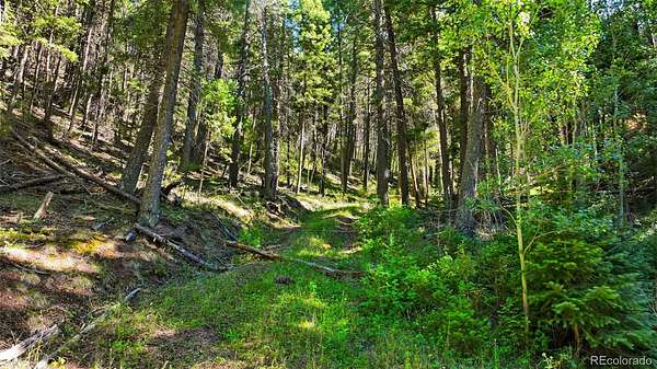3 Acres of Residential Land for Sale in Larkspur, Colorado
