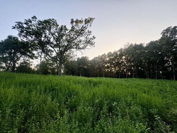 4 Acres of Land for Sale in Seymour, Missouri