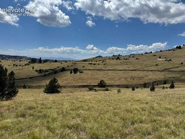 0.73 Acres of Residential Land for Sale in Cripple Creek, Colorado