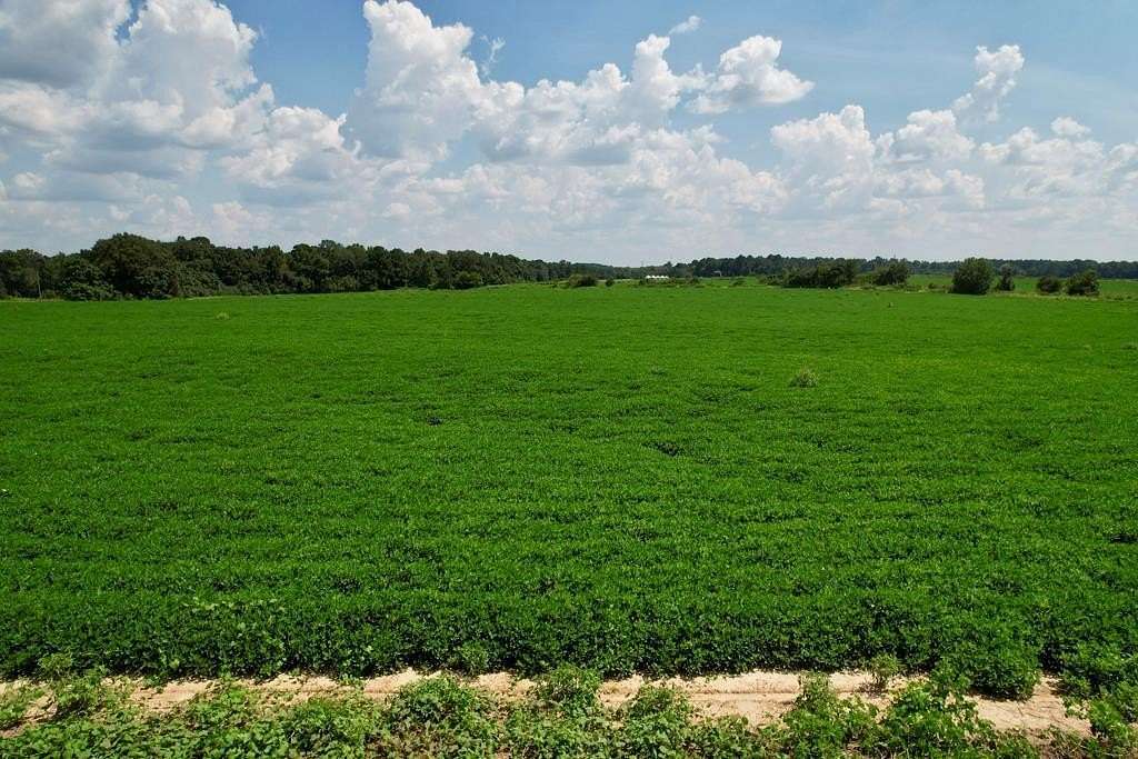 1.7 Acres of Residential Land for Sale in Dothan, Alabama
