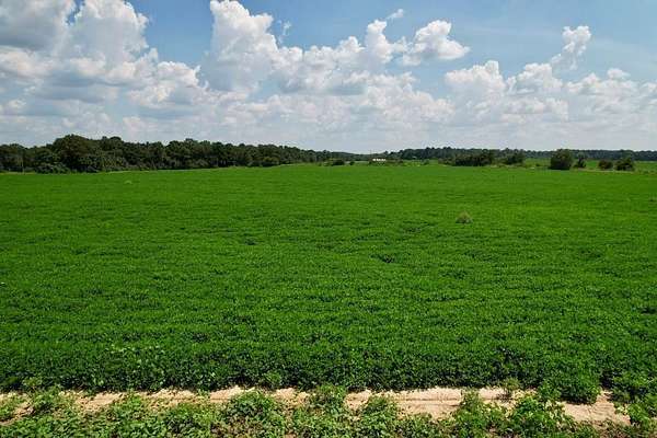 1.7 Acres of Residential Land for Sale in Dothan, Alabama