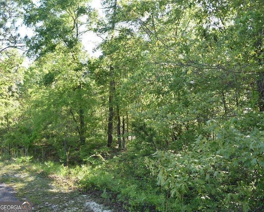 3.32 Acres of Land for Sale in Garfield, Georgia
