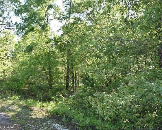 3.32 Acres of Land for Sale in Garfield, Georgia