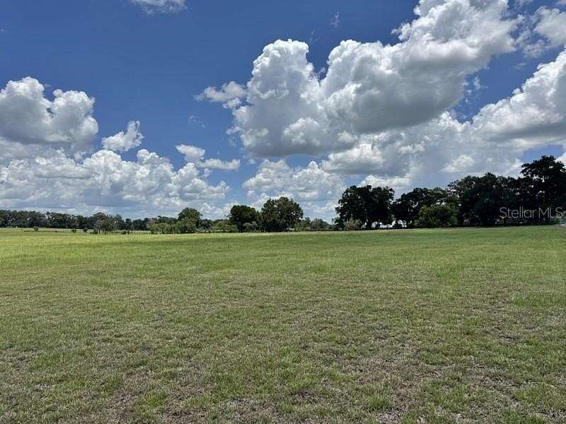 10 Acres of Land for Sale in Reddick, Florida