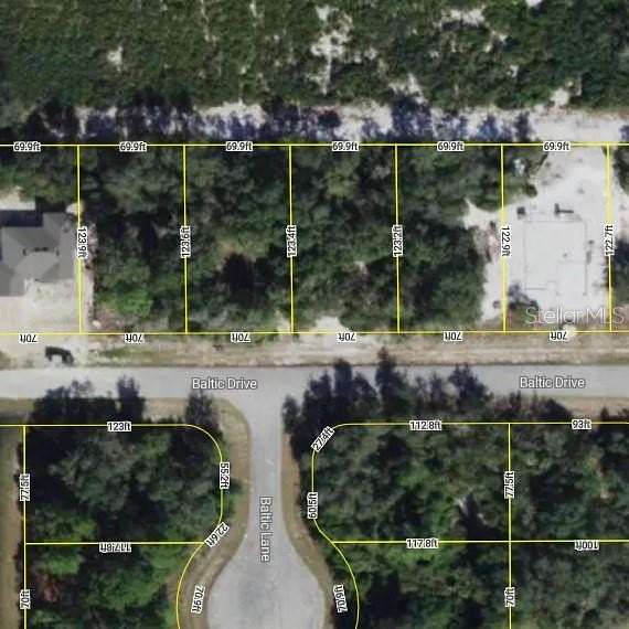 0.2 Acres of Land for Sale in Poinciana, Florida