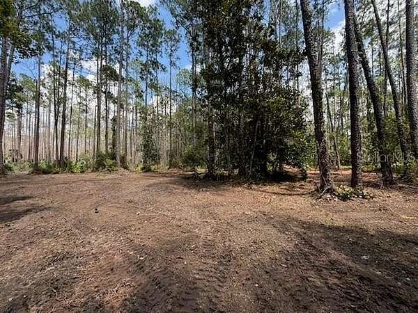 0.26 Acres of Residential Land for Sale in DeLand, Florida