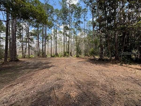 0.26 Acres of Residential Land for Sale in DeLand, Florida