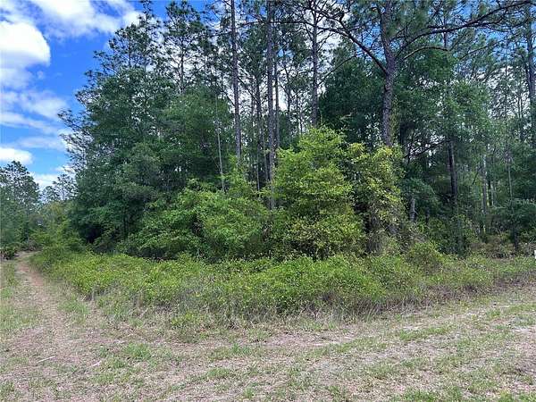 1.17 Acres of Residential Land for Sale in Ocala, Florida