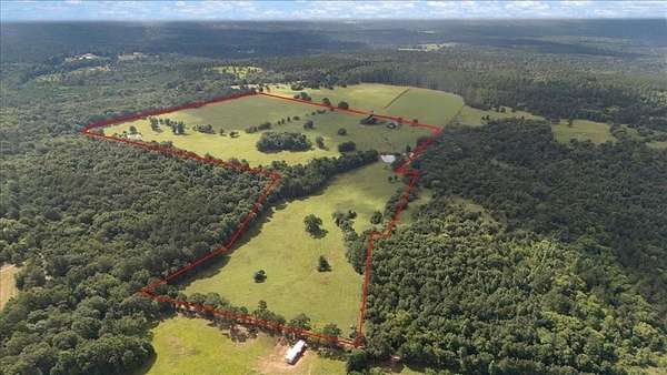 78 Acres of Agricultural & Residential Land for Sale in Cushing, Texas