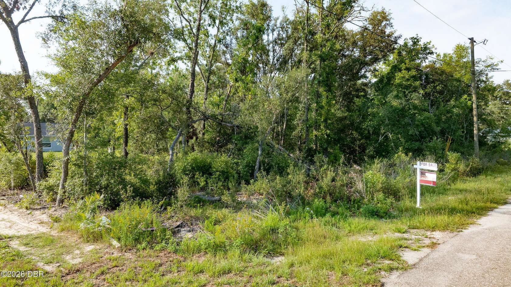 0.24 Acres of Land for Sale in Ocklawaha, Florida