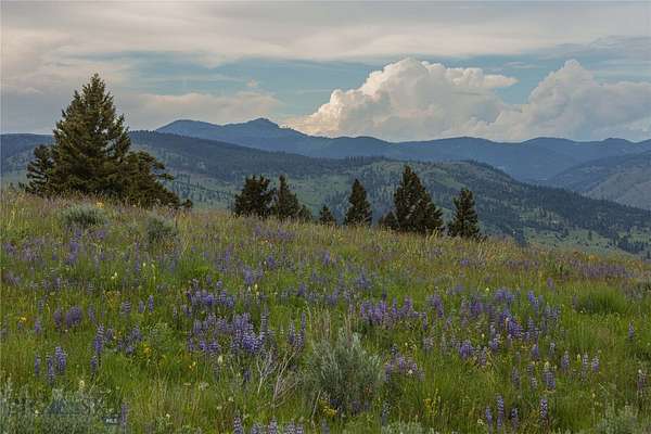 157 Acres of Recreational & Residential Land for Sale in Drummond, Montana