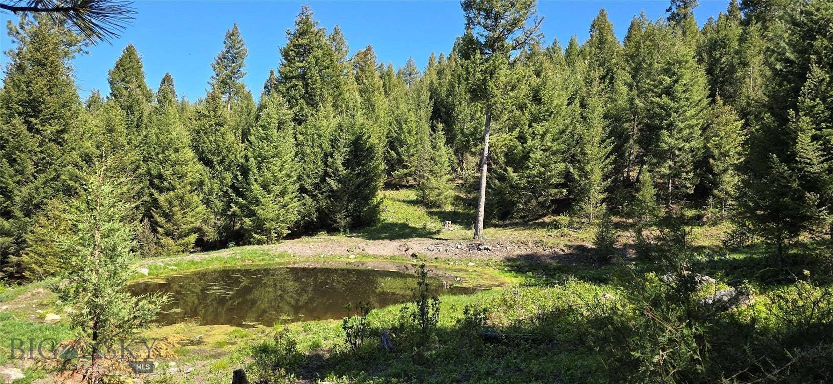 161 Acres of Recreational & Residential Land for Sale in Drummond, Montana