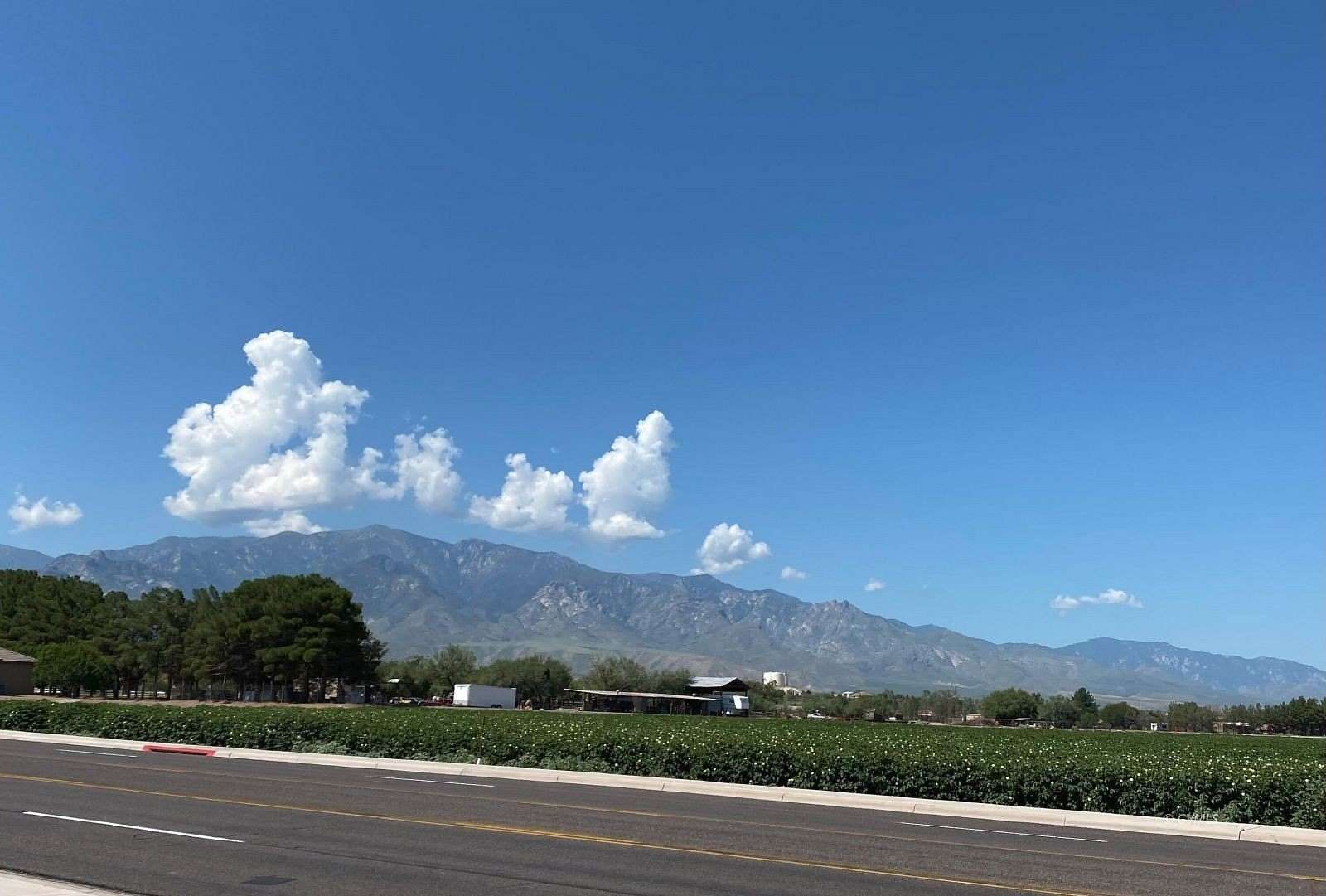 71.4 Acres of Land for Sale in Thatcher, Arizona