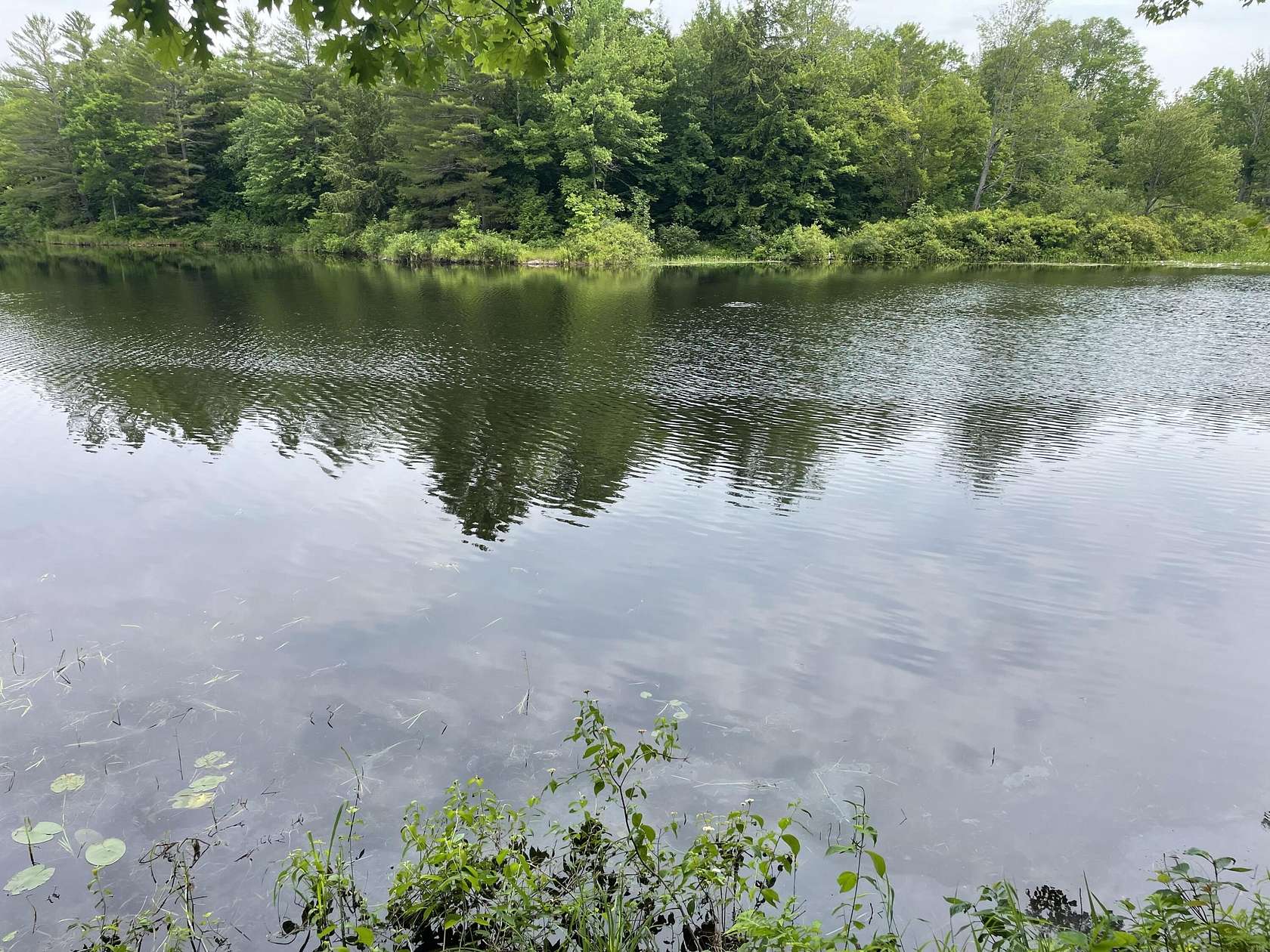 5.82 Acres of Residential Land for Sale in Pittsfield, Maine