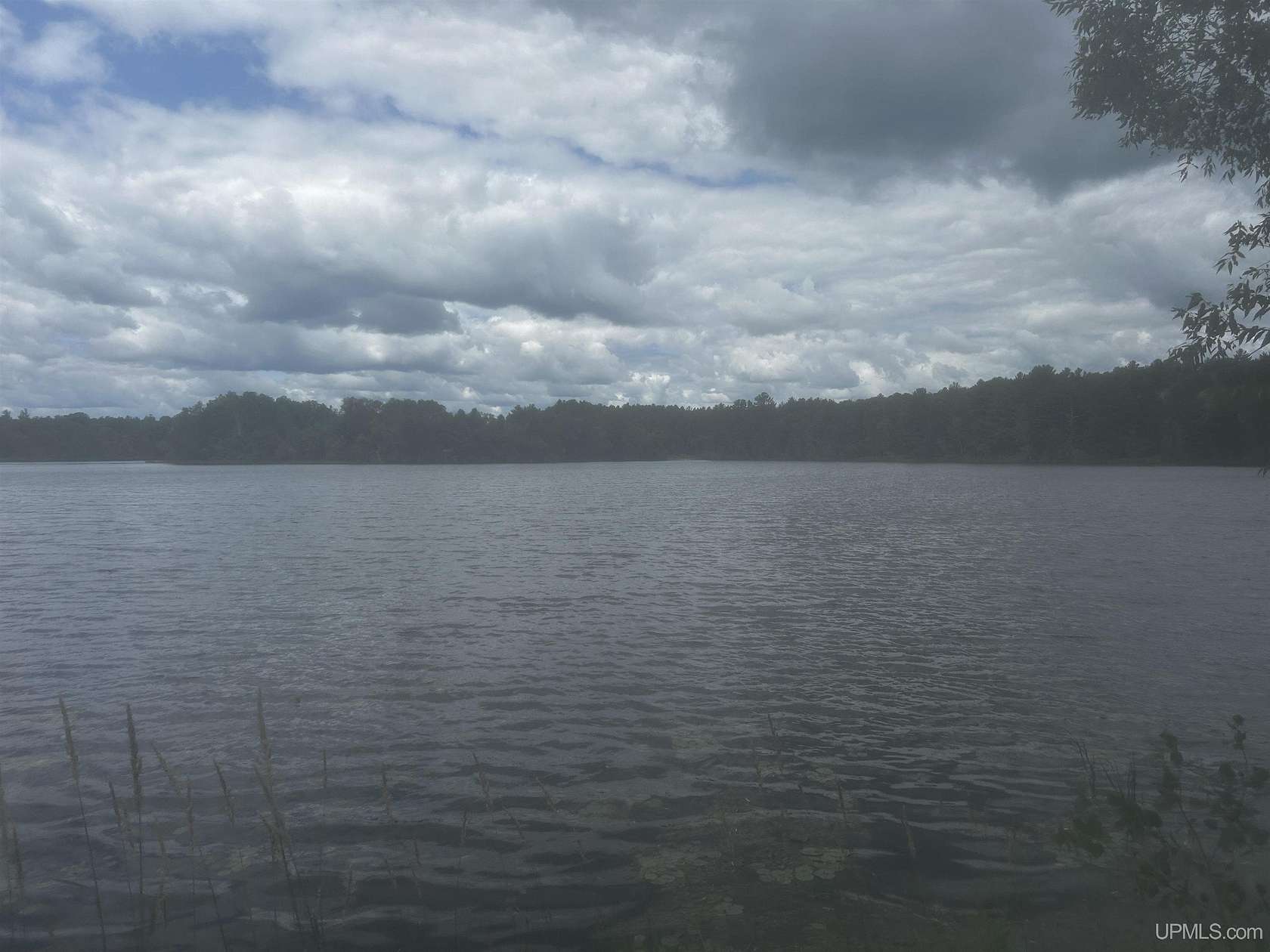 45 Acres of Agricultural & Residential Land for Sale in Vulcan, Michigan