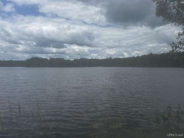 45 Acres of Agricultural & Residential Land for Sale in Vulcan, Michigan