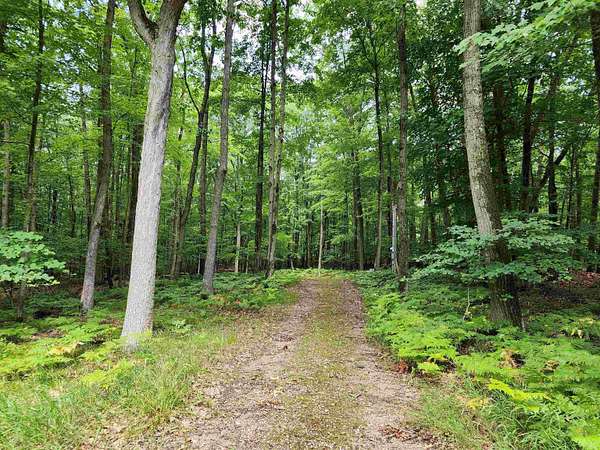 1.26 Acres of Residential Land for Sale in Farwell, Michigan