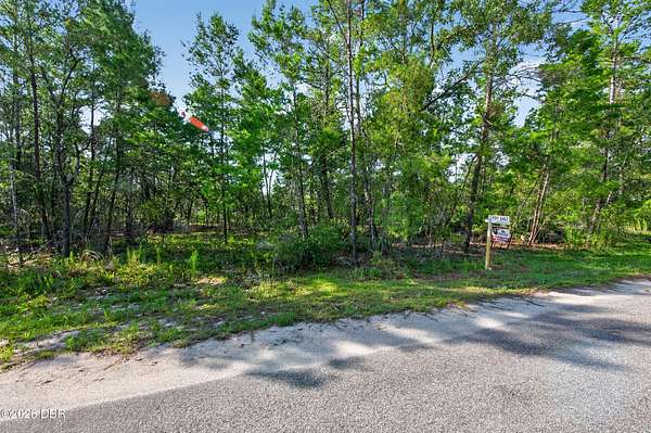 0.26 Acres of Land for Sale in Ocklawaha, Florida
