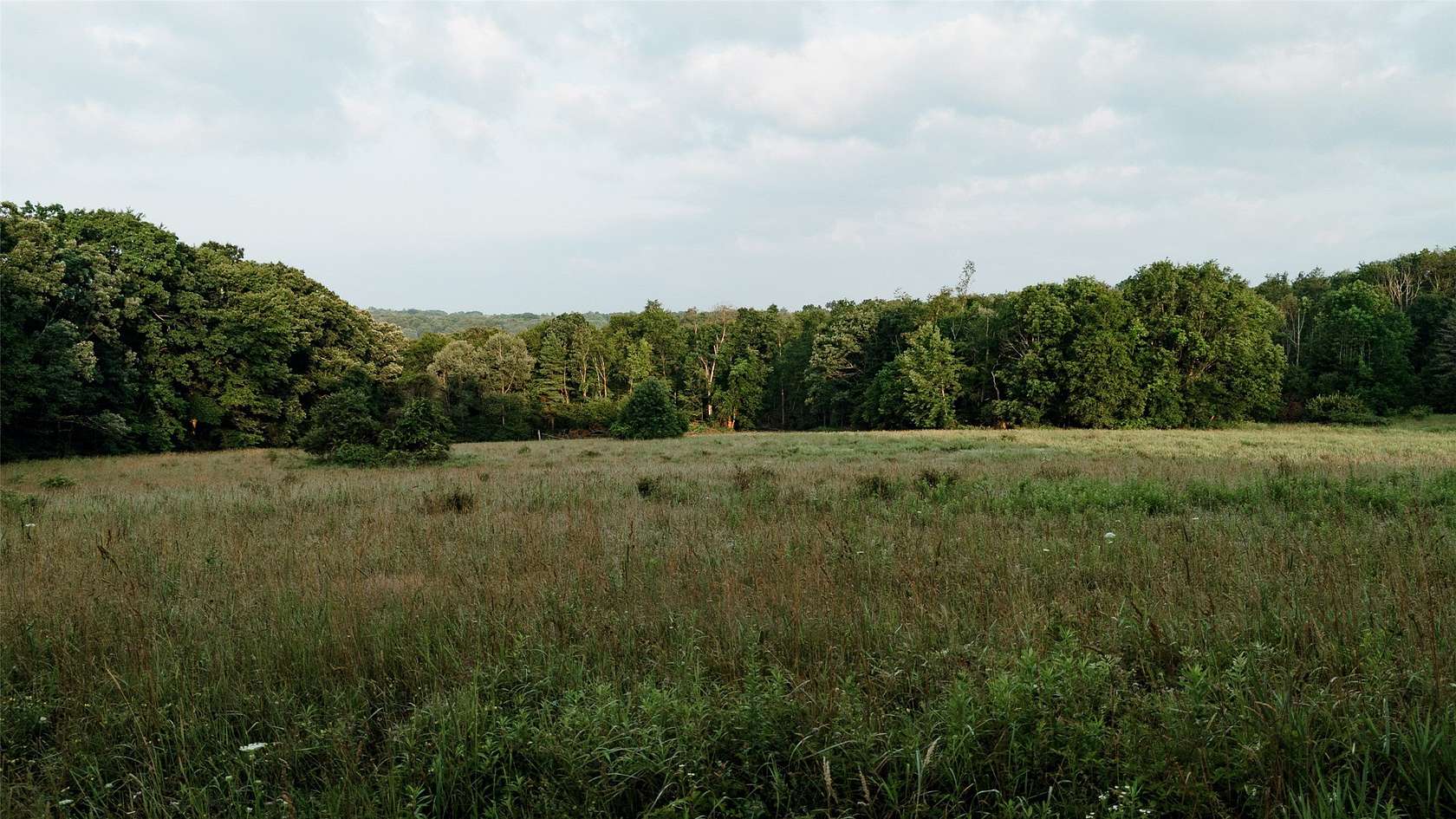 33 Acres of Recreational Land for Sale in Tidioute, Pennsylvania