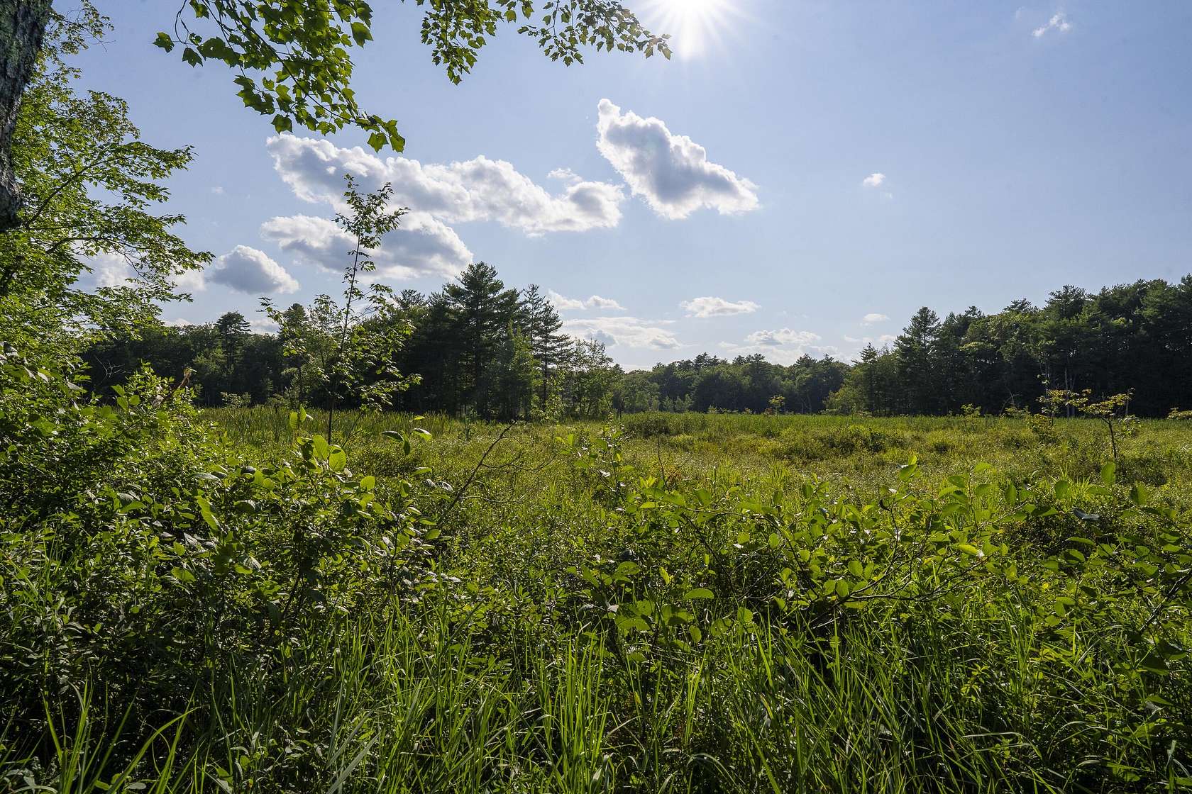 23.5 Acres of Recreational & Residential Land for Sale in Damariscotta, Maine