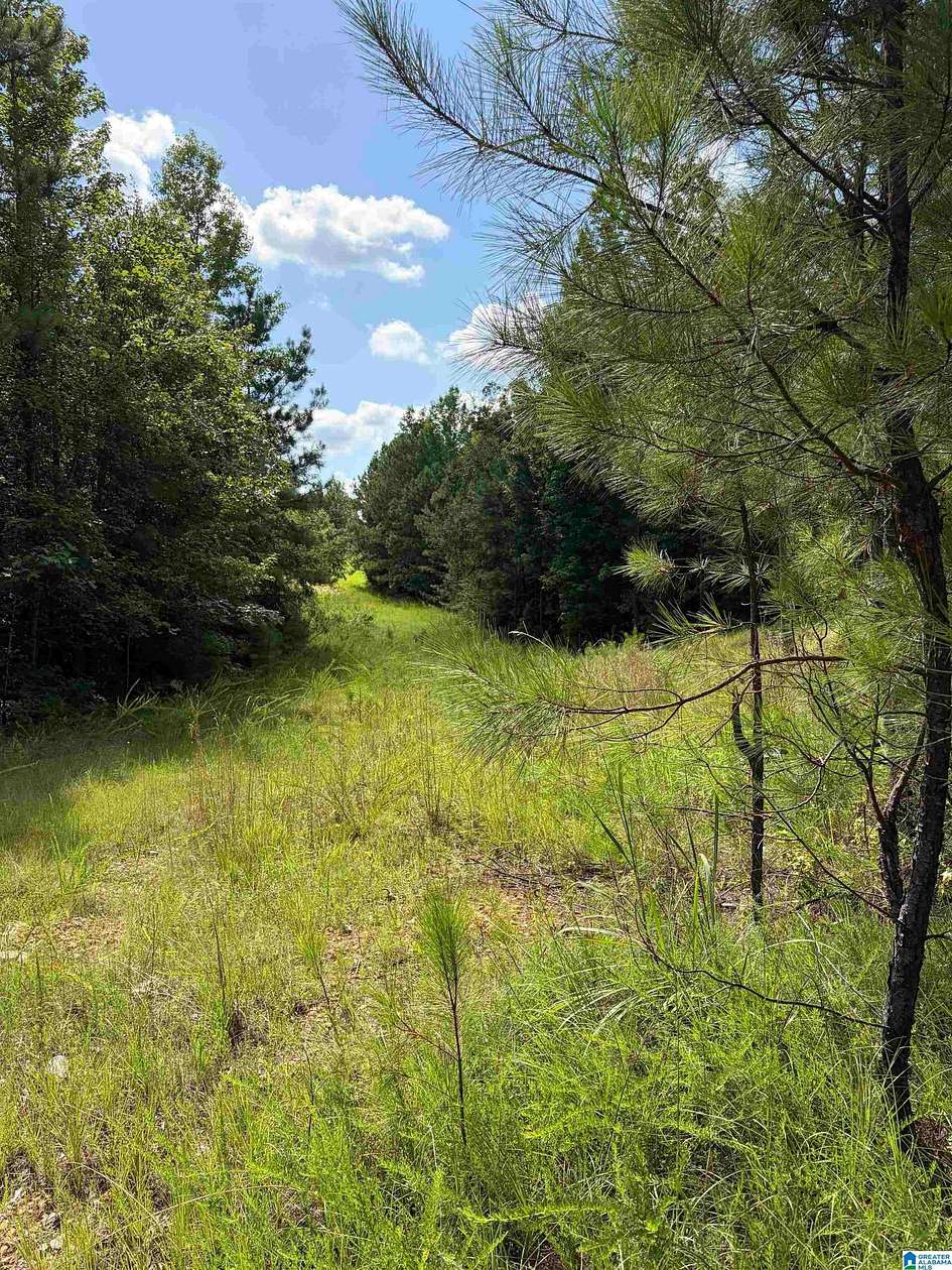 27 Acres of Land for Sale in Clanton, Alabama