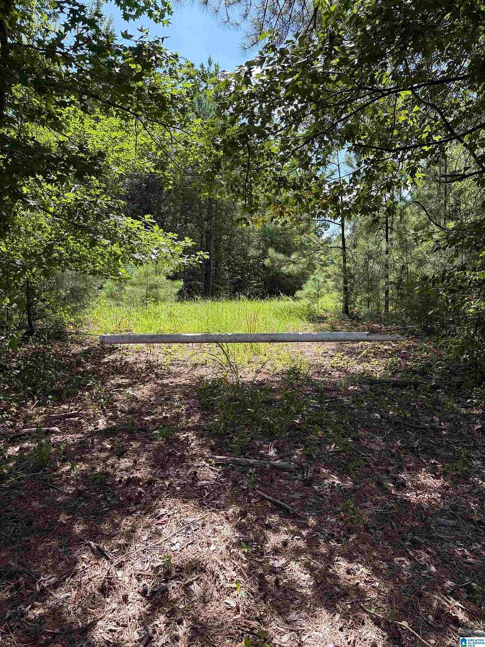 27 Acres of Land for Sale in Clanton, Alabama
