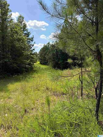 27 Acres of Land for Sale in Clanton, Alabama