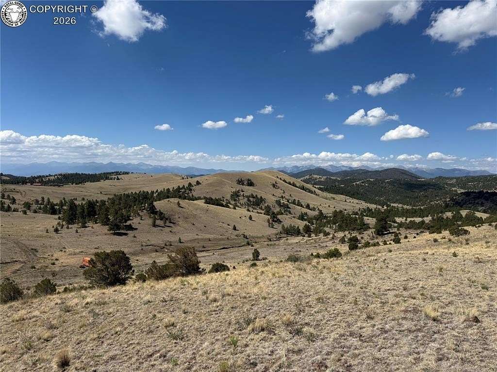 50 Acres of Land for Sale in Cotopaxi, Colorado