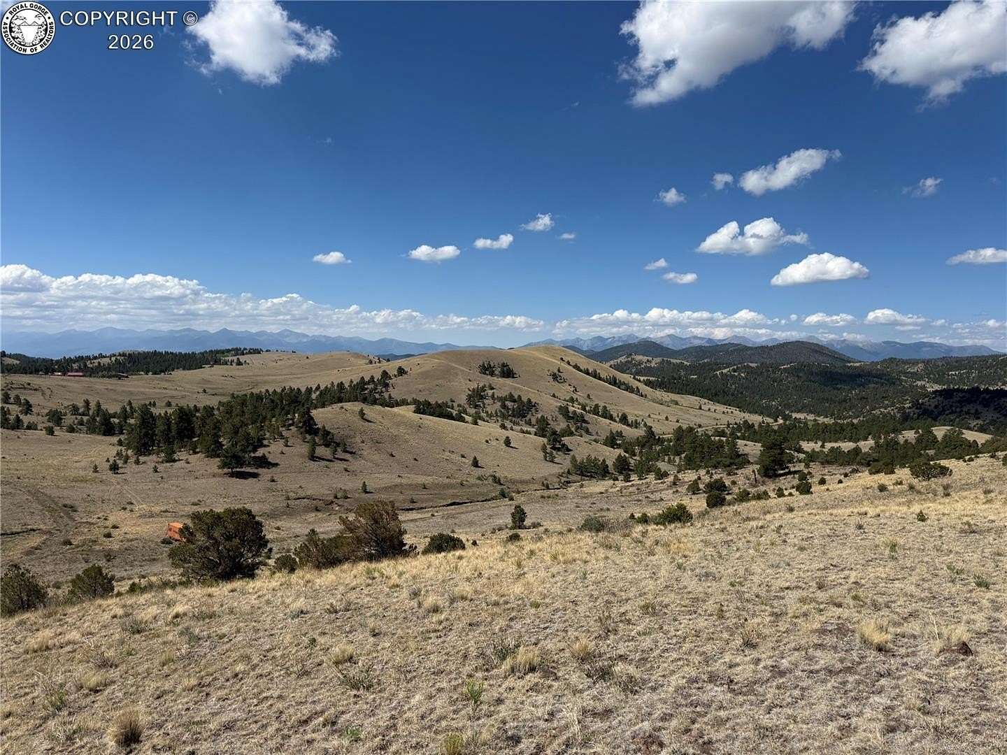 50 Acres of Land for Sale in Cotopaxi, Colorado