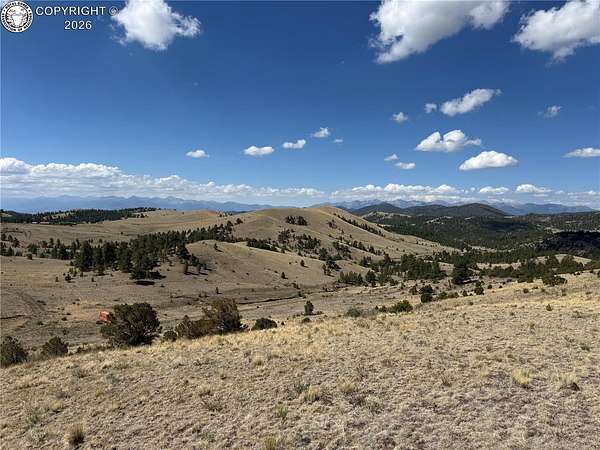 50 Acres of Land for Sale in Cotopaxi, Colorado
