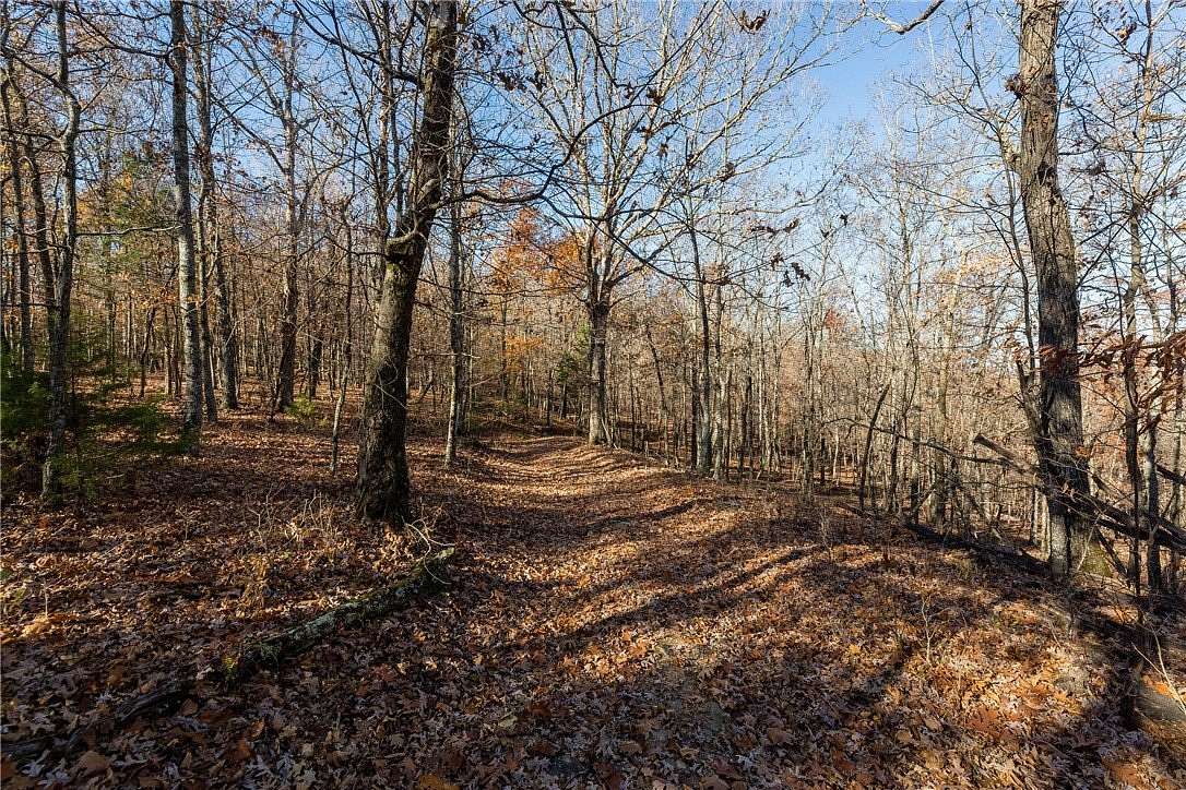 20 Acres of Land for Sale in Elkins, Arkansas