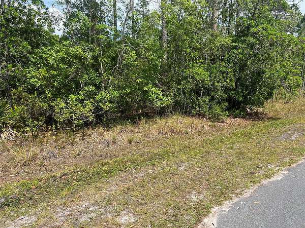 2 Acres of Land for Sale in St. Cloud, Florida