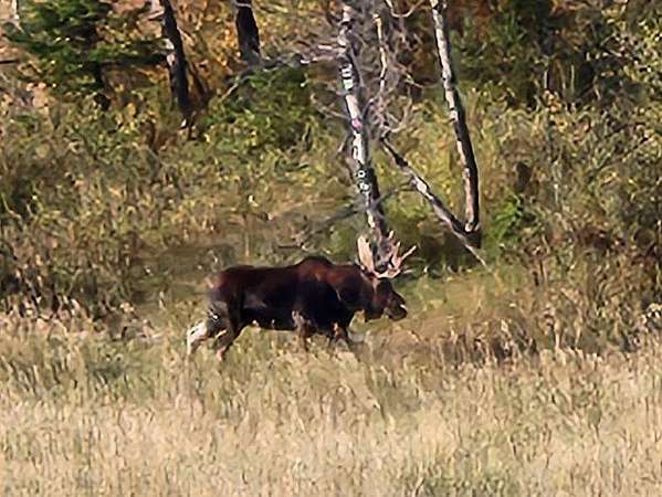230 Acres of Recreational & Residential Land for Sale in Bozeman, Montana