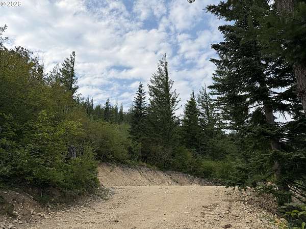 6 Acres of Land for Sale in Washougal, Washington