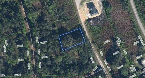 0.25 Acres of Residential Land for Sale in Lake Placid, Florida