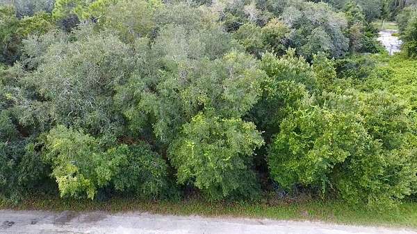0.25 Acres of Residential Land for Sale in Lake Placid, Florida