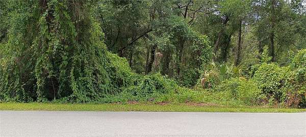 7.7 Acres of Residential Land for Sale in De Leon Springs, Florida