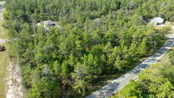 0.25 Acres of Land for Sale in Ocklawaha, Florida