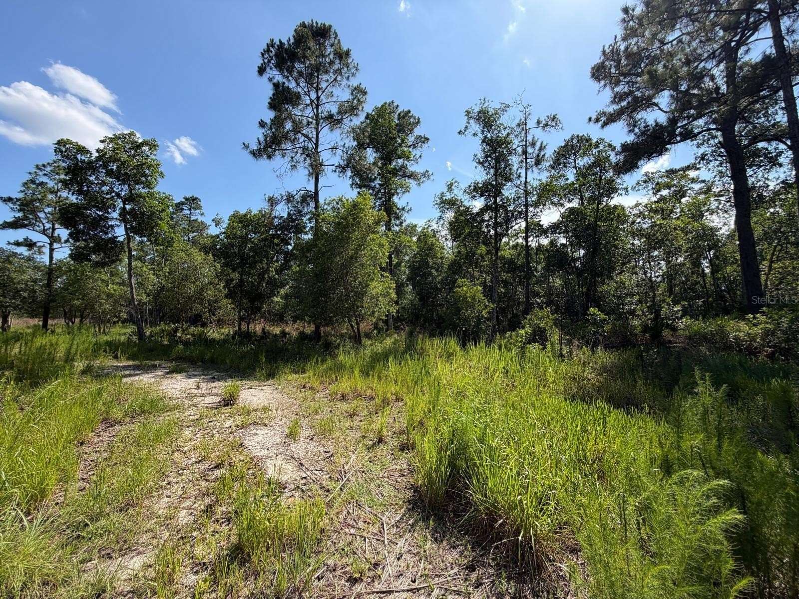 11 Acres of Land for Sale in Deltona, Florida