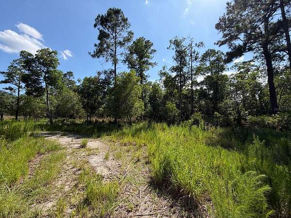 11 Acres of Land for Sale in Deltona, Florida