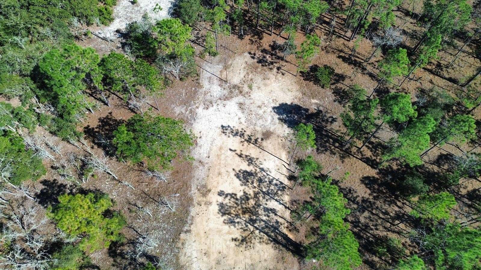 0.25 Acres of Residential Land for Sale in Dunnellon, Florida