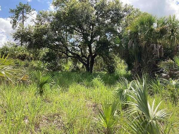 2.5 Acres of Residential Land for Sale in Naples, Florida