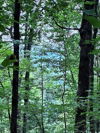 2.44 Acres of Residential Land for Sale in Ellijay, Georgia