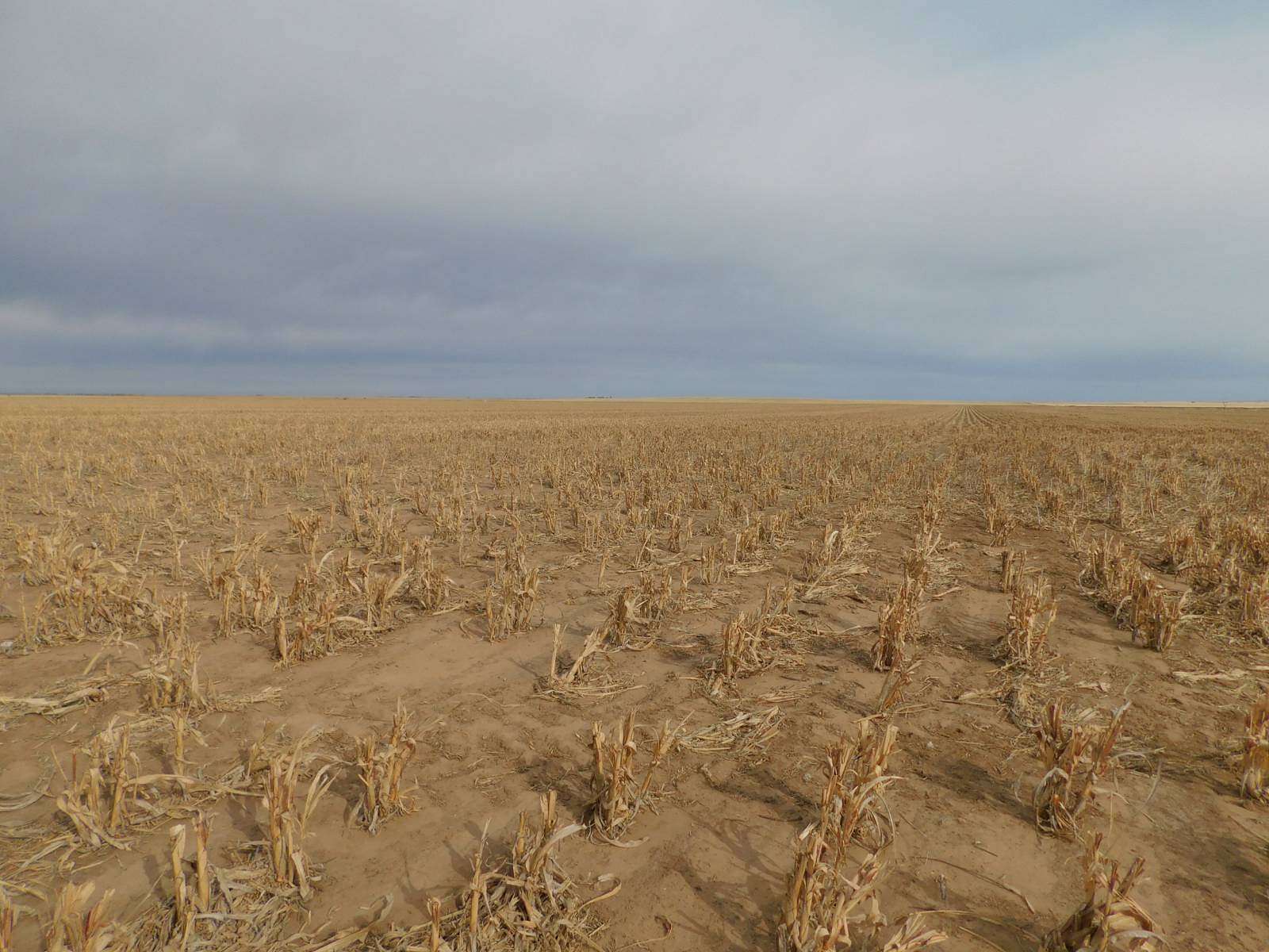 Land for Sale in Guymon, Oklahoma