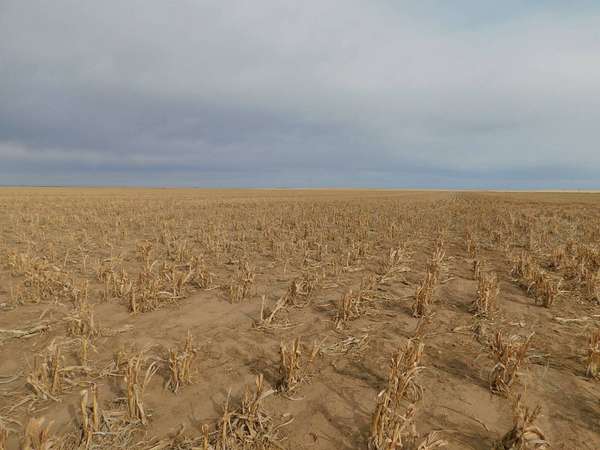 Land for Sale in Guymon, Oklahoma