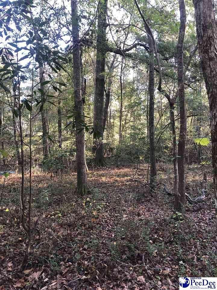 9 Acres of Land for Sale in Darlington, South Carolina