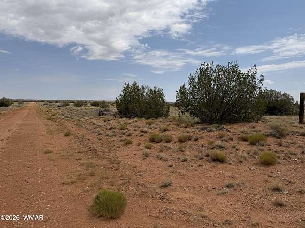 36.3 Acres of Recreational & Residential Land for Sale in Heber, Arizona