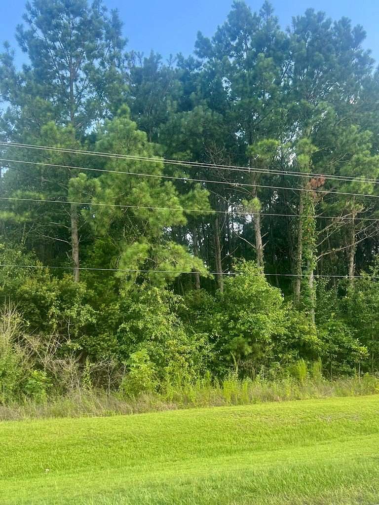 1.8 Acres of Residential Land for Sale in Cottonwood, Alabama